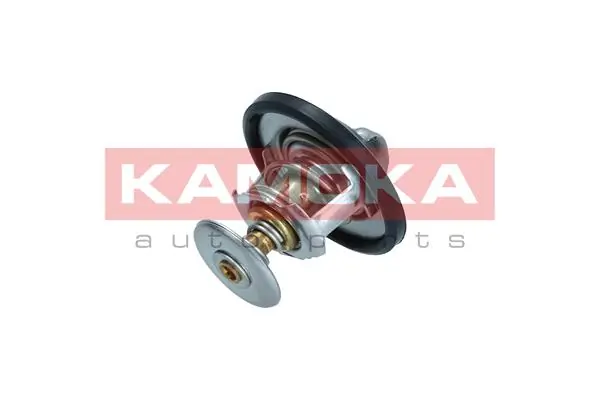 7710044 Kamoka