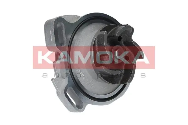T0275 Kamoka