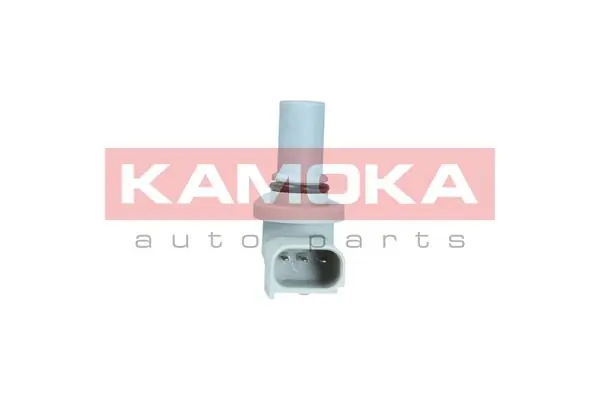 108005 Kamoka