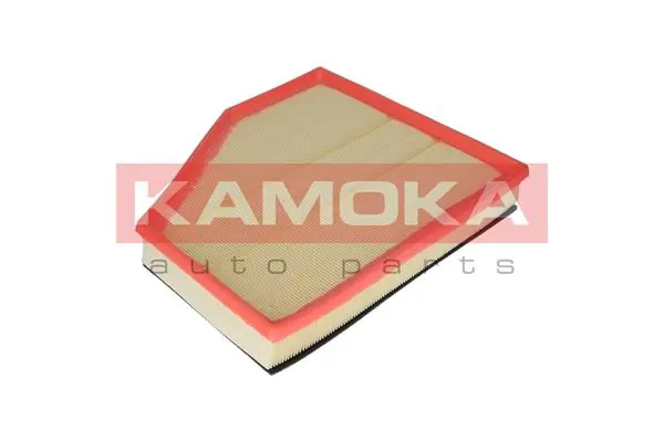 F219601 Kamoka