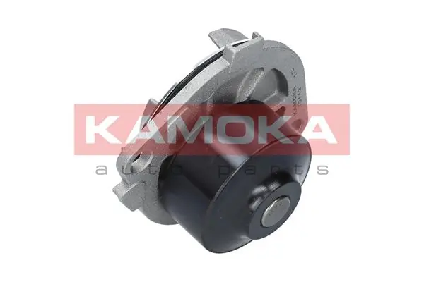 T0113 Kamoka