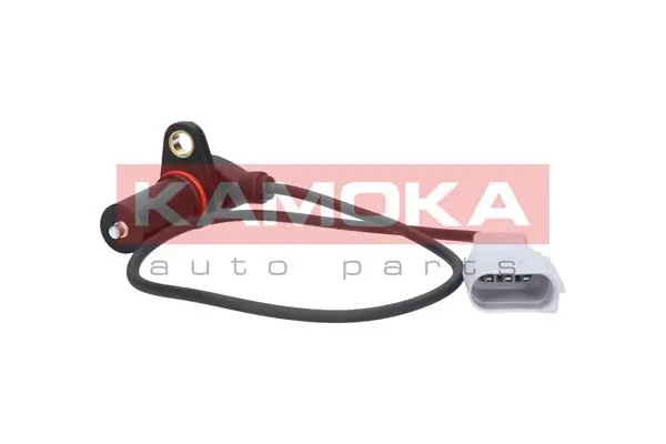 109025 Kamoka
