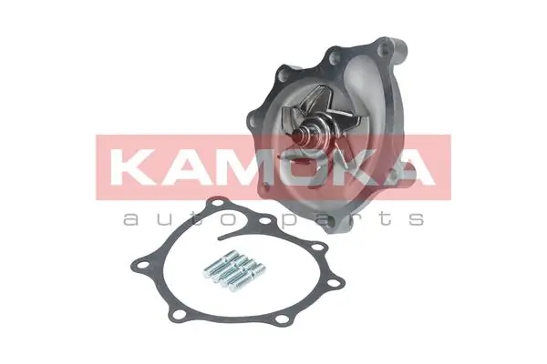 T0169 Kamoka