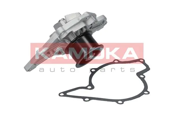T0040 Kamoka