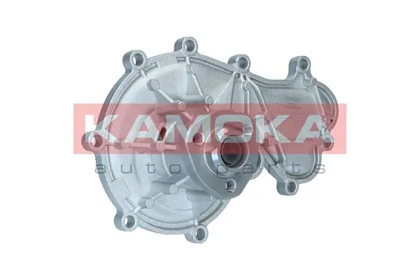 T0317 Kamoka