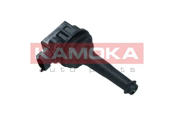 7120103 Kamoka