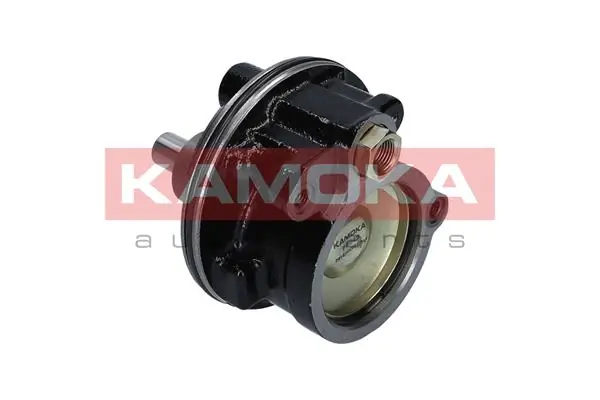 PP049 Kamoka