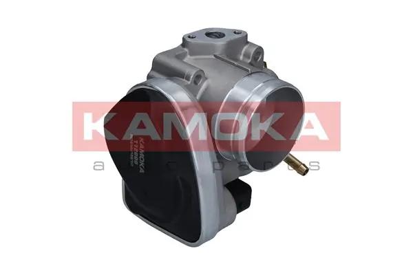 112008 Kamoka