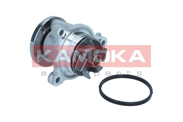 T0310 Kamoka