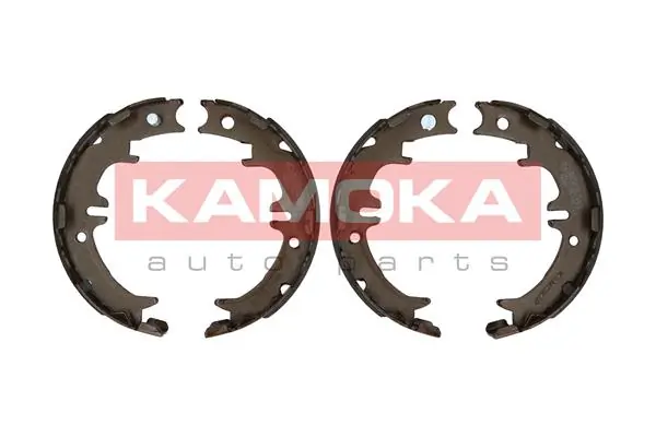 JQ212045 Kamoka