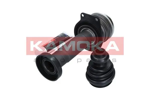 8711 Kamoka