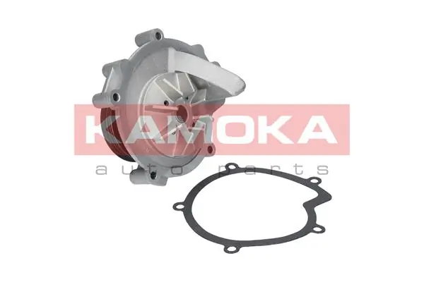 T0100 Kamoka