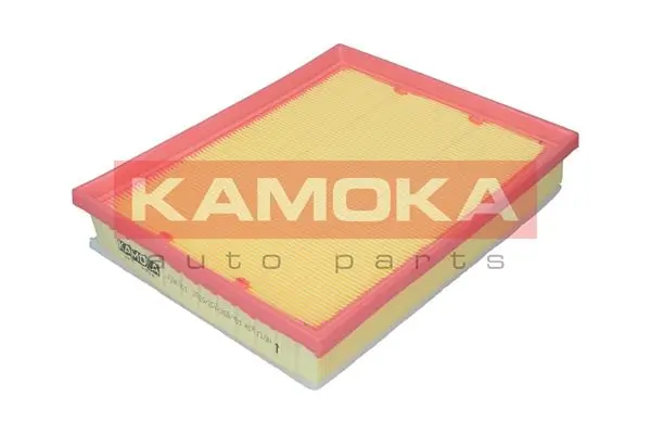 F240301 Kamoka