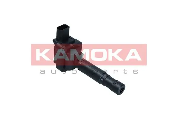 7120091 Kamoka