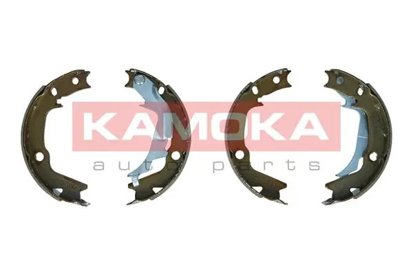 JQ212064 Kamoka