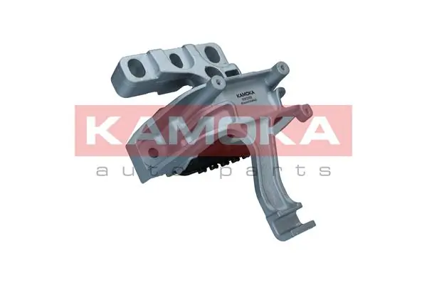 890269 Kamoka