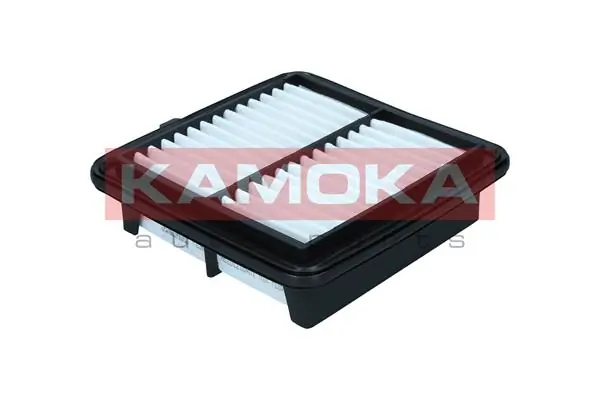 F256601 Kamoka