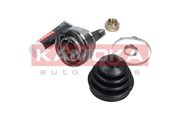 6091 Kamoka