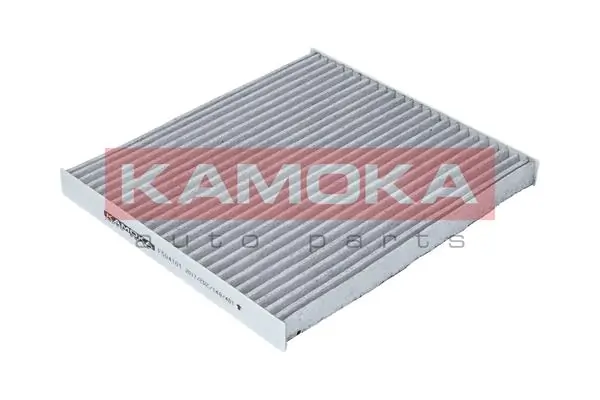 F504101 Kamoka