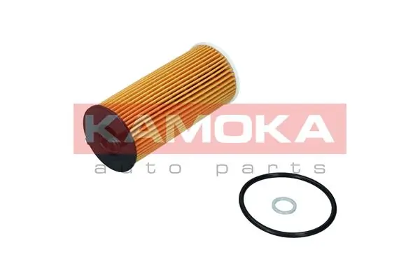 F120301 Kamoka