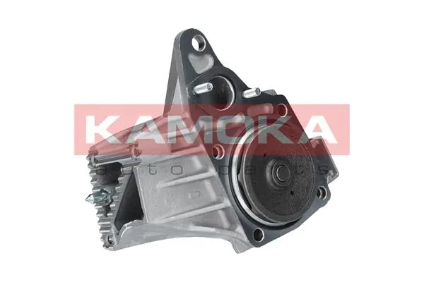 T0238 Kamoka