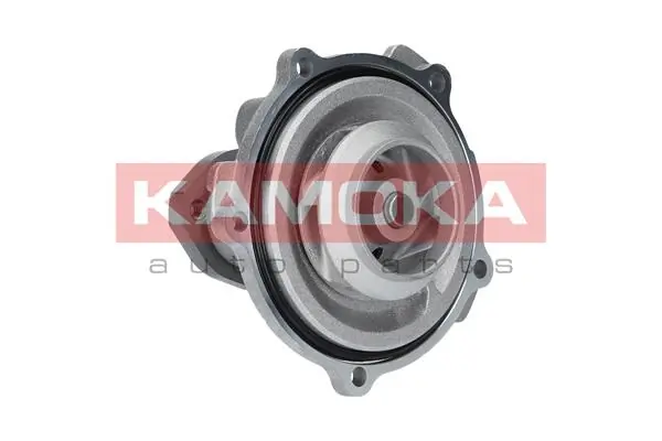 T0038 Kamoka