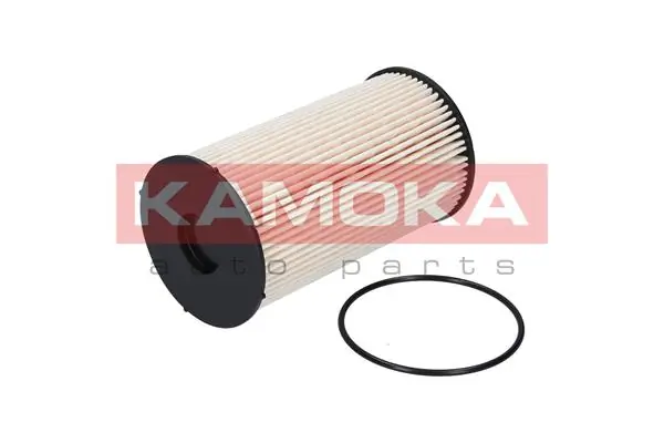 F303901 Kamoka