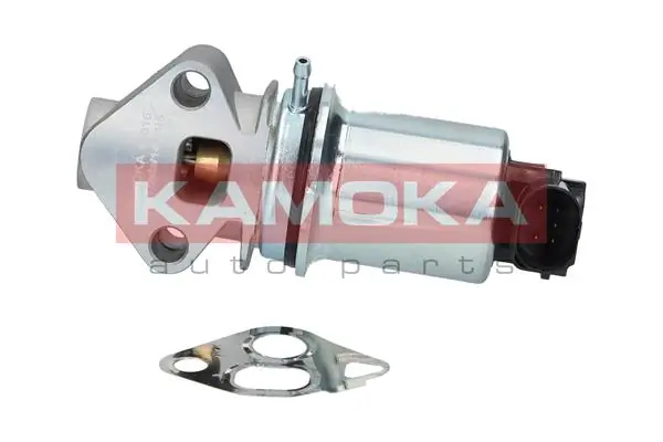 19016 Kamoka