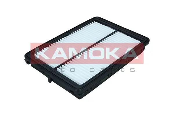 F242401 Kamoka