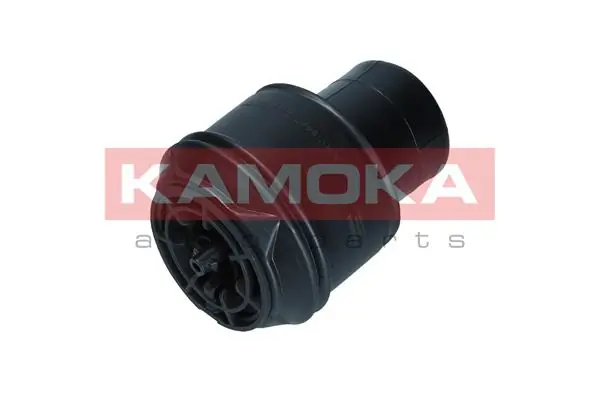 2079025 Kamoka