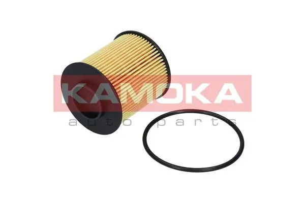 F111801 Kamoka