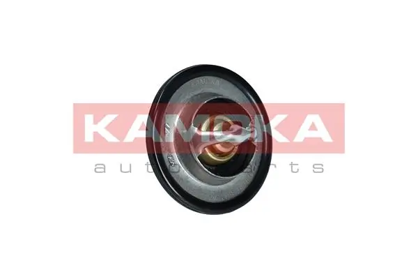 2120000Q0B Renault (RVI) Termostat