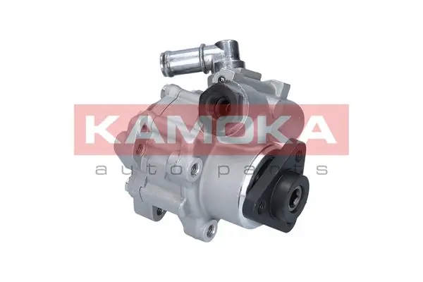 PP031 Kamoka