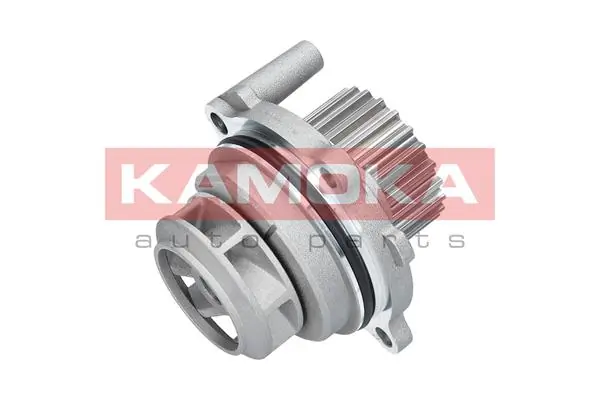 T0029 Kamoka