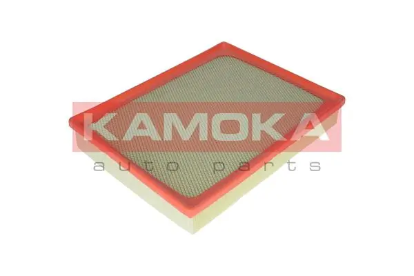 F231101 Kamoka