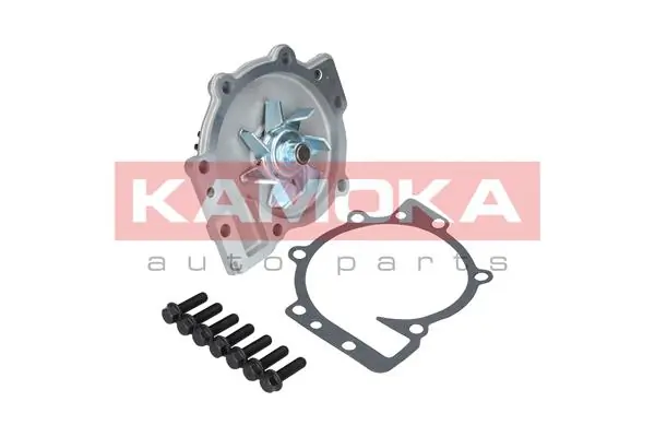 T0137 Kamoka