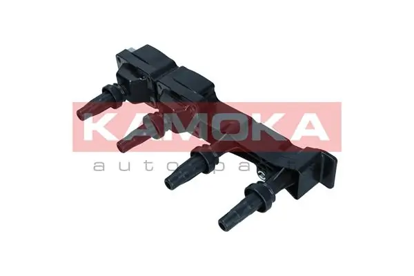 7120163 Kamoka