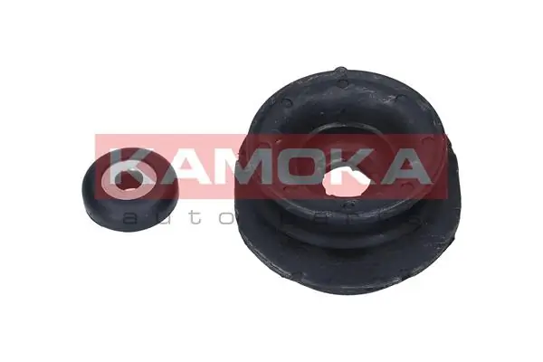 209039 Kamoka