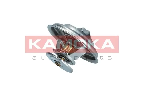 Kupić Termostat Mercedes 100 631 w dobrej cenie