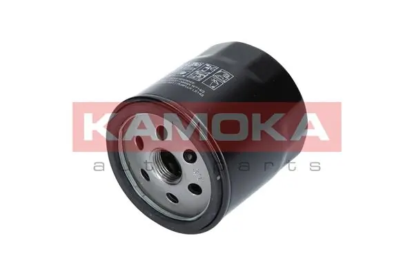 F113101 Kamoka