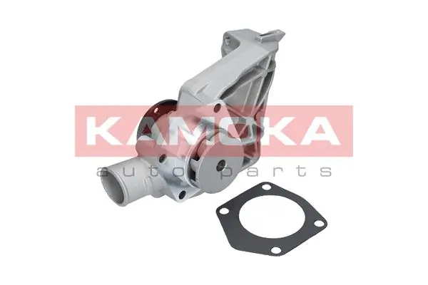 T0250 Kamoka