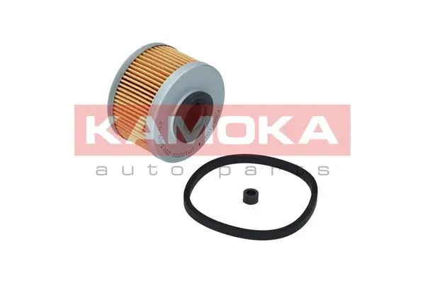 F303101 Kamoka