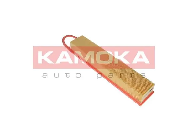 F221501 Kamoka
