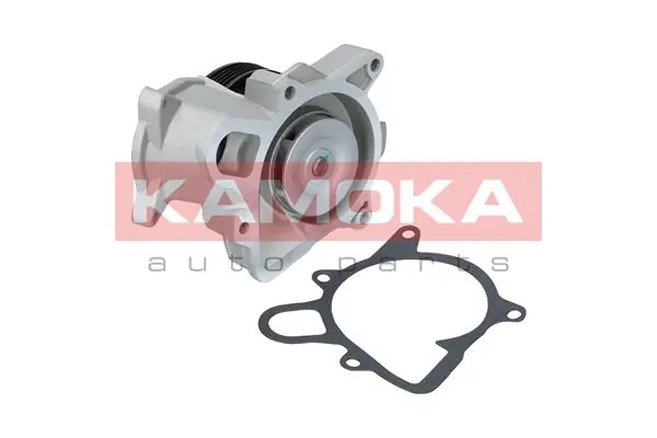 T0173 Kamoka