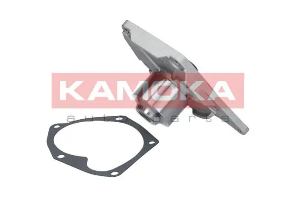 T0214 Kamoka