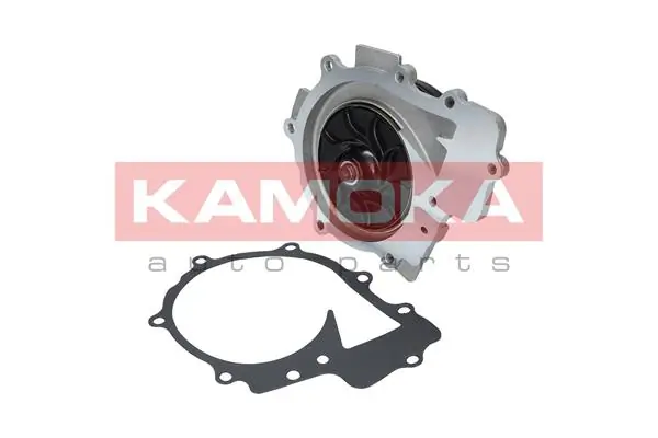 T0203 Kamoka