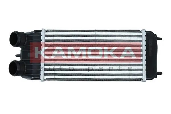  Chłodnica intercoolera Citroen C3 1