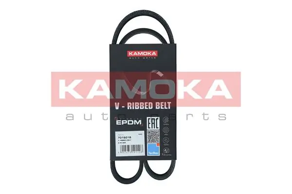 7016018 Kamoka