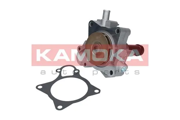 T0164 Kamoka