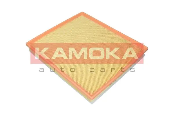F243201 Kamoka